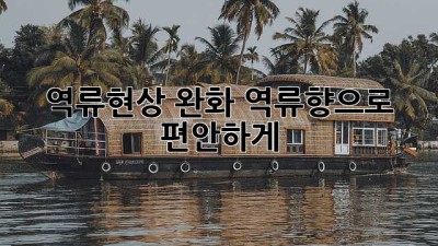 역류현상 완화? 역류향으로 편안하게!