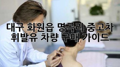 대구 화원읍 명곡리 중고차 휘발유 차량 구매 가이드